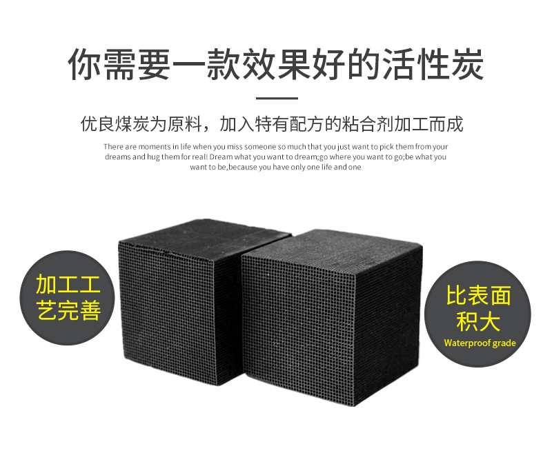 新標800_金森活性炭
